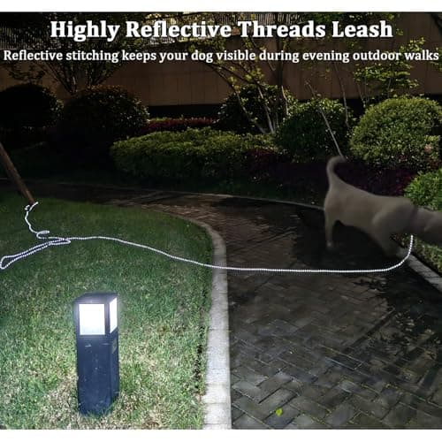 WYuZe Reflective Tie Out Rope for Small Dogs Cats 20FT Dog Tether for Yard — view 4