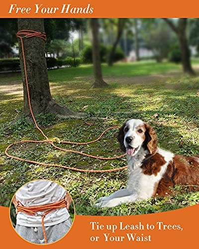 Long Line Leash for Dog Training 10FT 16FT 30FT 50FT 100FT, Reflective Threads Check Cord Dog Lead for Large Medium Small Dogs, Dog Tie-Out Cable for Outside WalkingPlaying, Camping, or kyard — view 5