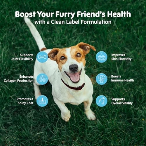 Premium Hydrolyzed Liquid Collagen Drops for Dogs: Grass-Fed Bioactive Peptides with Vitamin C, Biotin & Hyaluronic Acid - 4-in-1 Collagen Supplement for Hip & Joint, Skin & Coat & Itch Relief Support