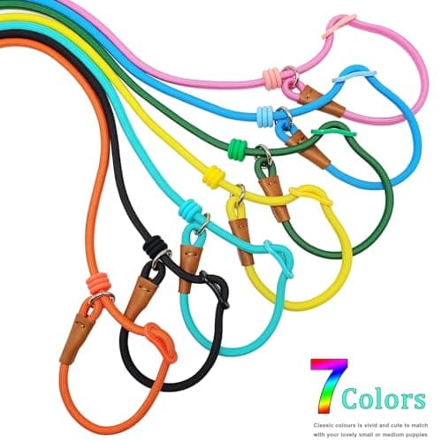 Boswany 6ft Small Slip Lead Dog Training Leash, 1/4-In Lightweight Rope Slip Leash, No-Pull Cute Leashes for Medium Small Dogs Puppy Pets (Black, 1/4" x 6ft) — view 3