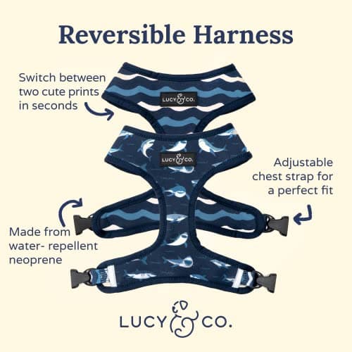 Lucy & Co. Reversible Dog Harness - Water-Repellent Neoprene, Dual-Print Design, Easy Swap Style, Adjustable Comfort Fit - Shark Attack Reversible Harness - Large