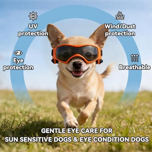 PETLESO Dog Goggles Small Breed, XS Dog Sunglasses Chihuahua Glasses Anti-UV Eyes Protection for XSmall Pets Tiny Dogs Cats, Orange XS — view 3