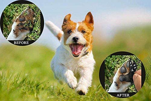 VALFRID Dog Paw Protector Anti-Slip Grips to Keeps Dogs from Slipping On Hardwood Floors,Disposable Self Adhesive Resistant Dog Shoes Booties Socks Replacement S 24 Pieces — view 5