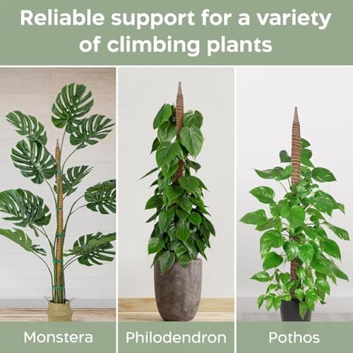 2 Pack 48'' Bendable Moss Pole Monstera Plant Support for Climbing Indoor Plants - Stakes for Potted Climbers - Tall Sticks Indoor Trellis for Houseplants - Accessories for Monstera Pot — view 5