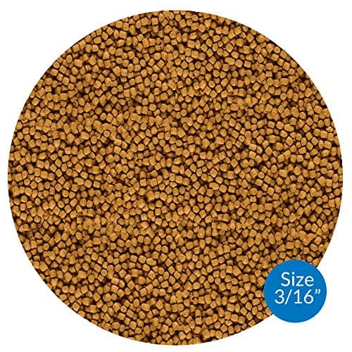 API POND FISH FOOD Pond Fish Food 2.68-Pound Bag