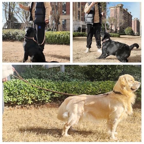 WERCHNPET Leather Dog Leash 6ft x 3/4 inch, Heavy Duty, Soft and Strong for Large, Medium, Small Dogs - Premium Leather Leash for Dogs — view 5