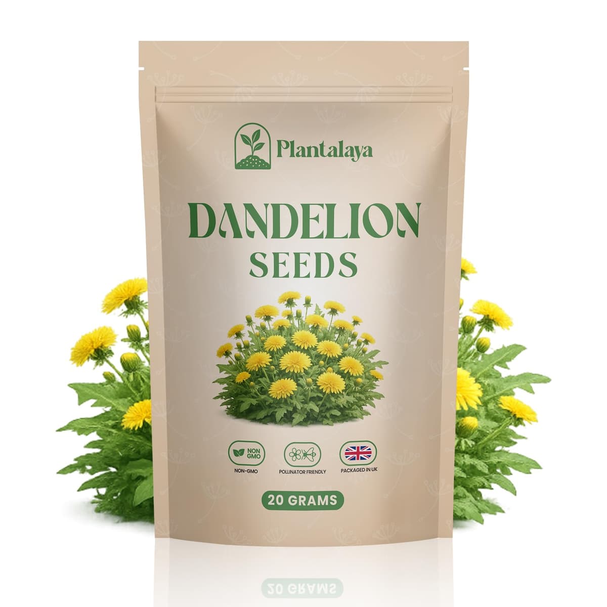 Dandelion Seeds for Planting & Pet Forage – Tortoise, Rabbit & Guinea Pig Food – Easy Grow Edible Herb Garden Seeds – Taraxacum Officinale (20g)