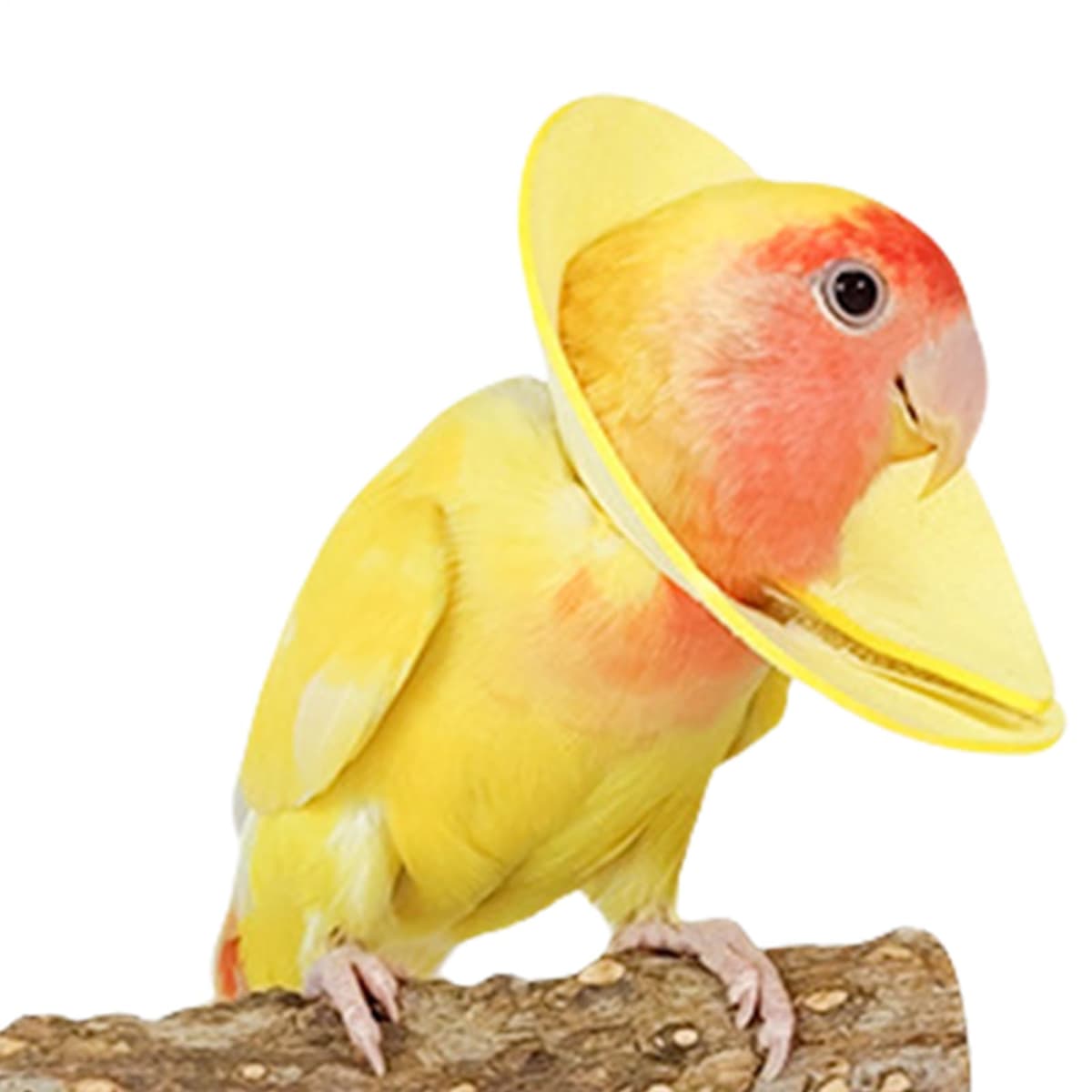 Collar Isabelino para Pájaros: Cono Antimasticable Suave, Escudo De Recuperación Ligero | Material De Cuero De Terciopelo Suave Al, Múltiples Opciones De Tamaño, Control De Humedad, Uso Cómodo,