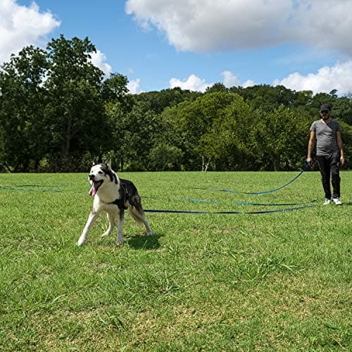 Hi Kiss Dog/Puppy Obedience Recall Training Agility Lead - 15ft 20ft 30ft 50ft 100ft Training Leash - Great for Training, Play, Camping, or Backyard (30 Feet, Green) — view 5
