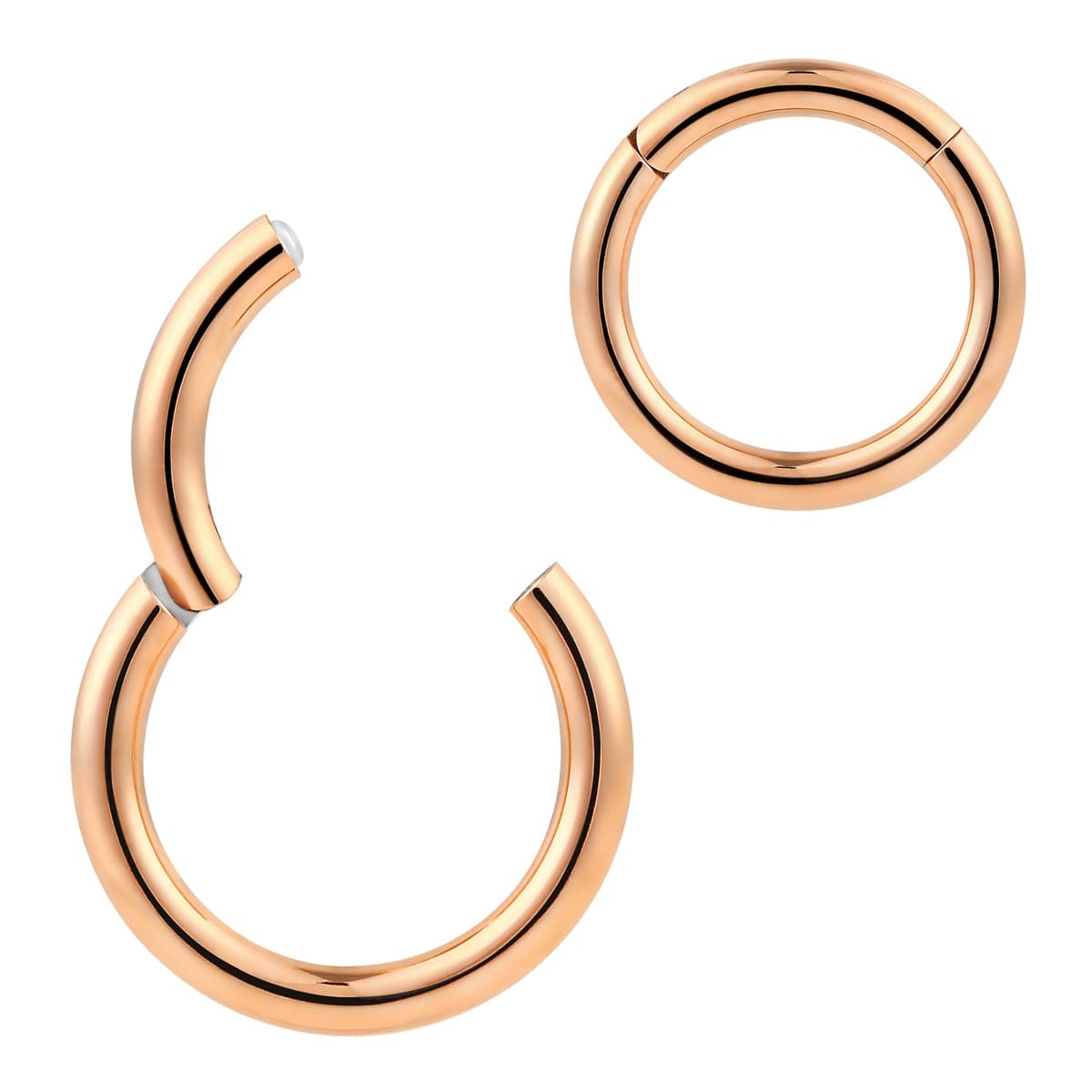 365 SLEEPERS 1pc 316L Surgical Steel Nose Rings 20G 18G 16G 14G 12G 10G 8G 6G 4G 2G Septum Jewellery Hinged Segment Ring Body Piercing Hoop Lip Rings Helix Cartilage Rook Earrings