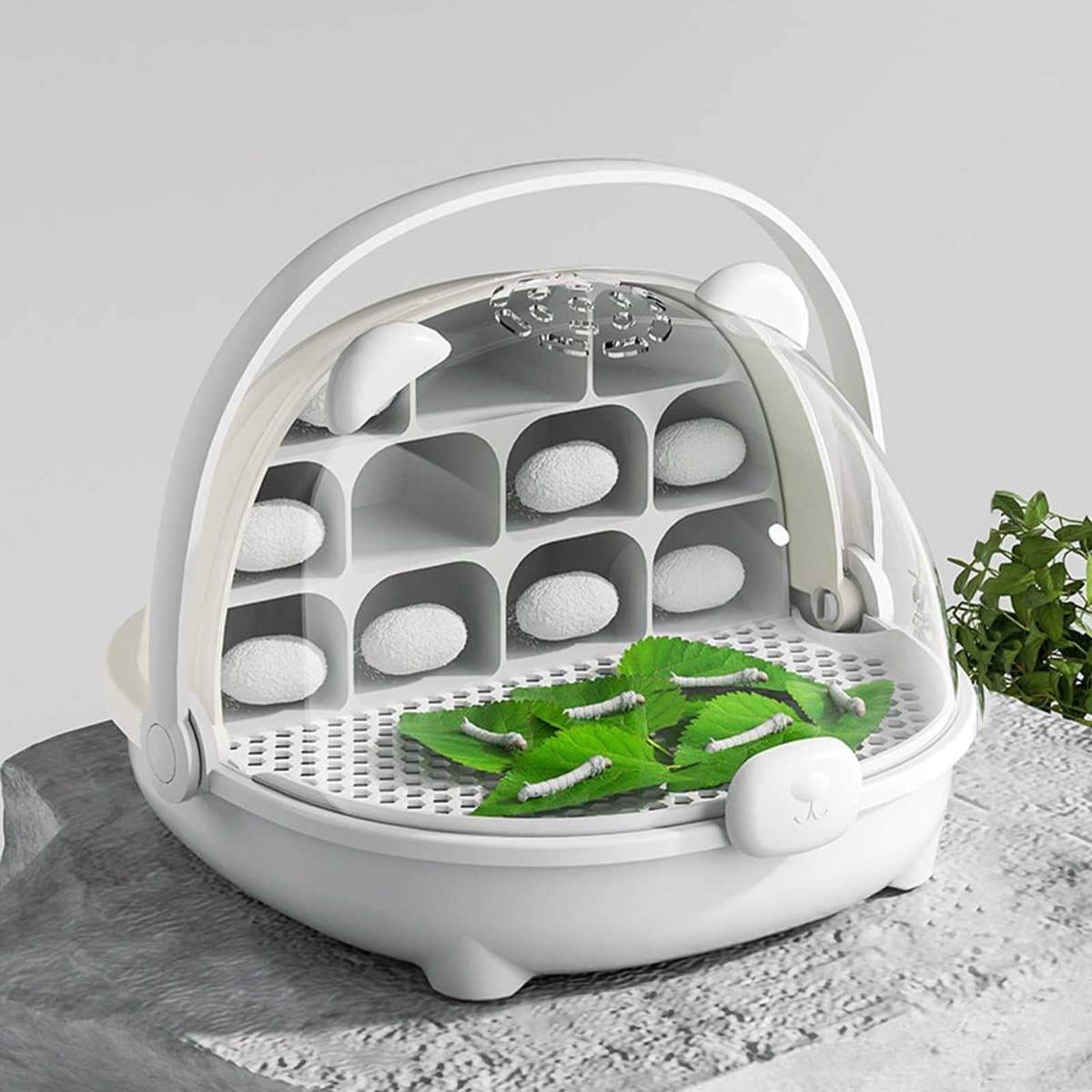 Caja de Crecimiento de Gusanos de Seda, cápsula Espacial para la cría de Gusanos de Seda, Tanque de Reptiles, Jaula de hábitat Animal,Caja de alimentación Transparente portátil con asa (Gris)