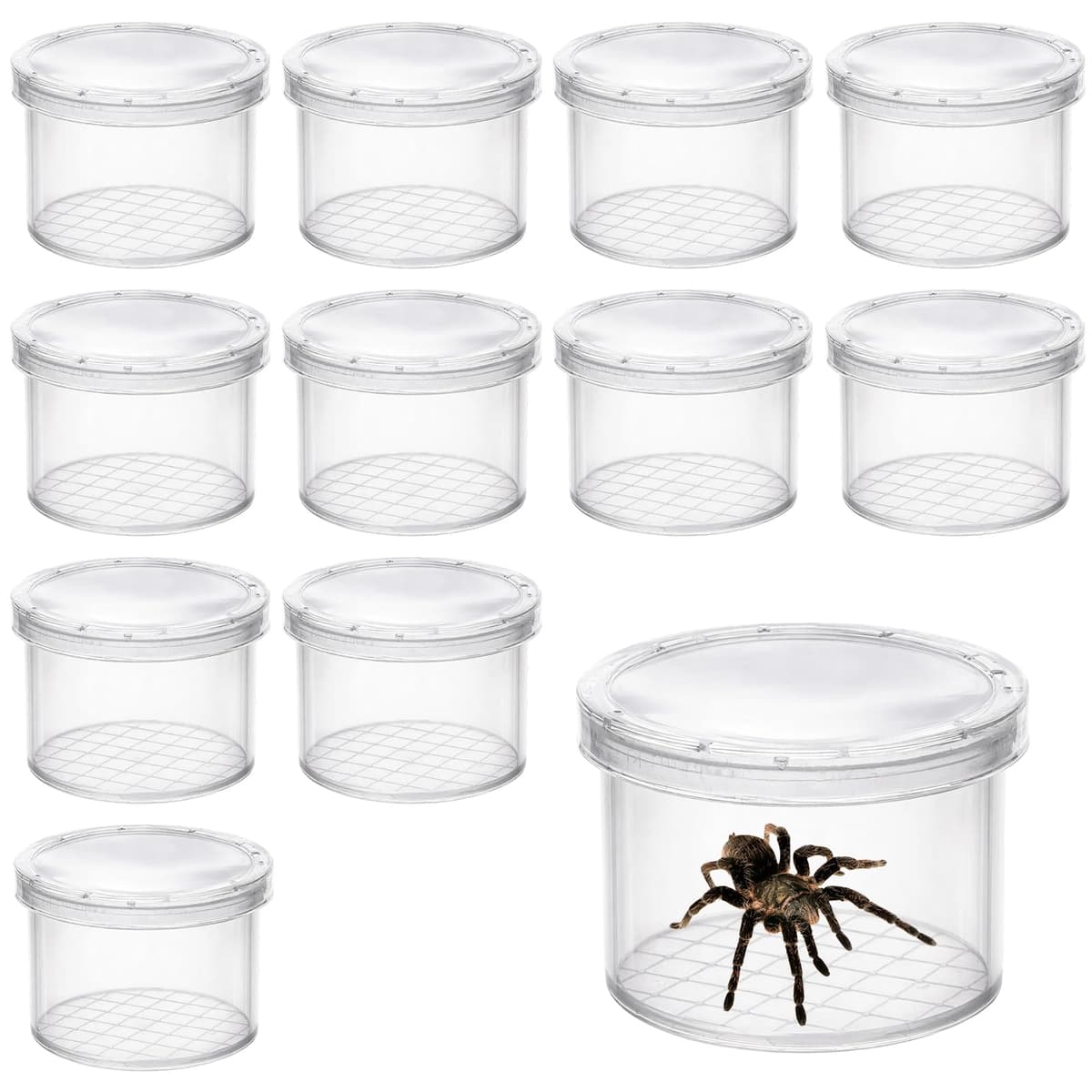 12 Pcs Bug Catcher, Insect Observation Bug Box Set, Magnifying Glass Containers for Nature Study, Ideal for Outdoor Exploration and Science Activities, Compact 40 x 40 x 30 mm Design