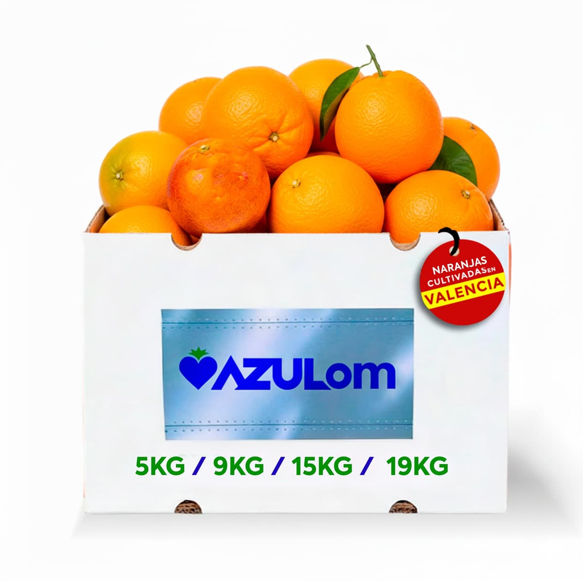 Naranjas de Valéncia directas del árbol recién recolectadas - del árbol a tu mesa sin tratamientos post cosecha - cajas de 5, 9, 15 y 19kg - fruta natural valenciana - naranja de mesa (9KG)
