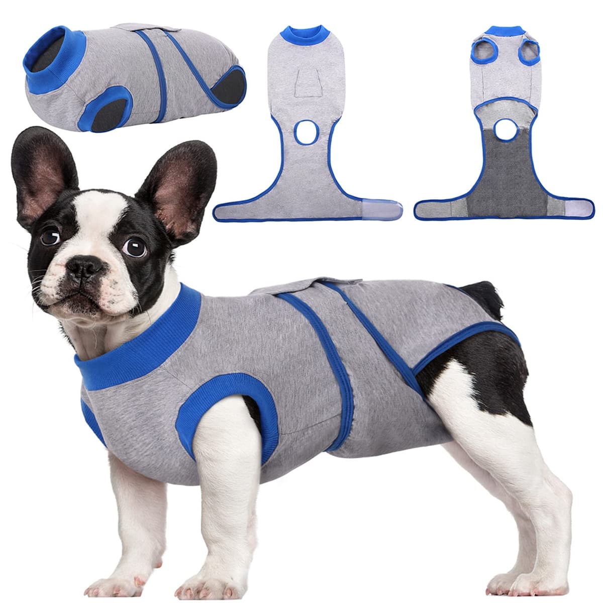 Kuoser Traje de recuperación de Perro para Hombre/Mujer, Camiseta para Cachorros después de la cirugía, Alternativa de Cuello electrónico para Mascotas pequeño, Mediano y Grande
