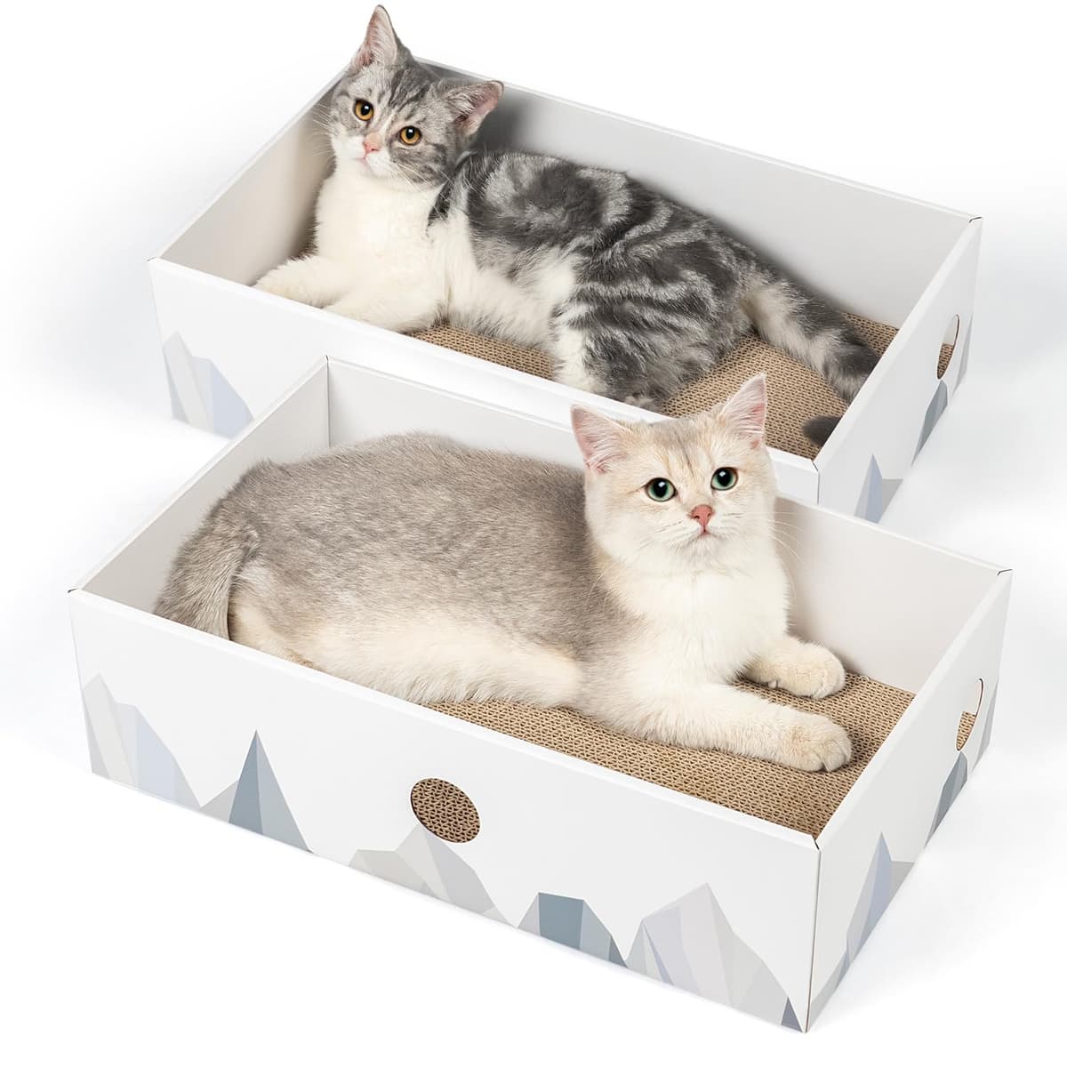 Conlun Rascador para Gatos con Caja, Rascador Gato Grande y Resistente, Doble Cara, Agujeros Interactivos, Zona de Descanso Antisuciedad para Interior (2 Unidad, Grande, Blanco)