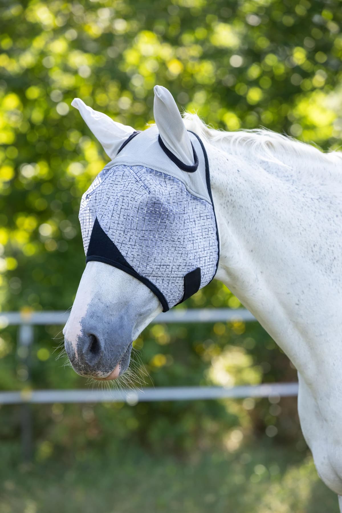 Covalliero Máscara antimoscas con protección auditiva, máscara para caballo, gris claro, cob, con protección UV, relleno de vellón
