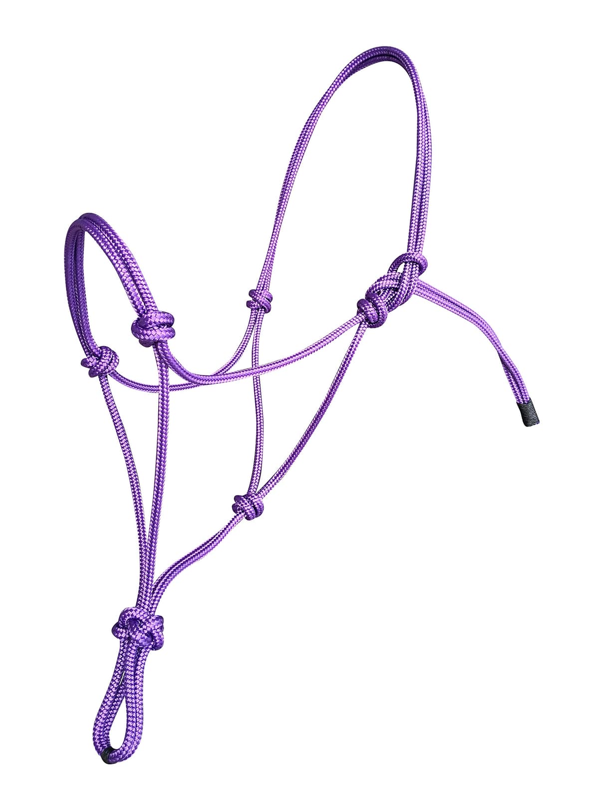 Parelli Training Natural Rope Headcollar in 11 Sizes - Miniature Foal Shetland Weaning Pony Cob Arabian Full Horse Extra Full and Draft