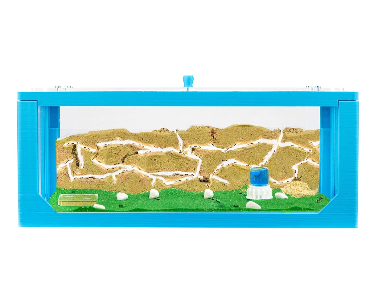 Anthouse.es - Hormiguero Natural Tipo Pecera 3D - Hormiguero de Arena con Colonia Incluida - Kit Completo con Reina y Obreras + Arena y Accesorios - Modelo Inicio 30x15x10 cm - Color Azul