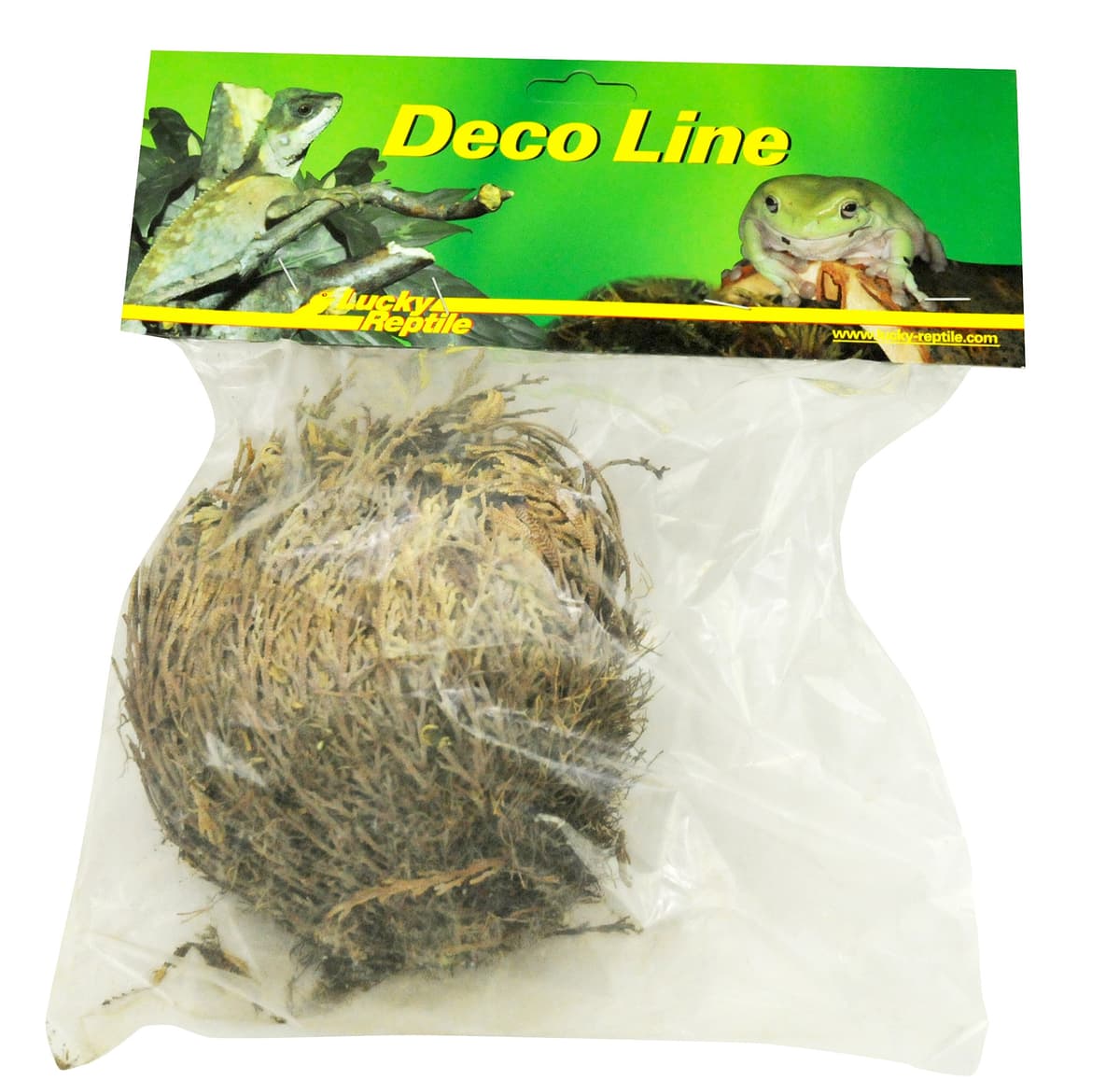 Lucky Reptile DL-RJ Rose Von Jericho