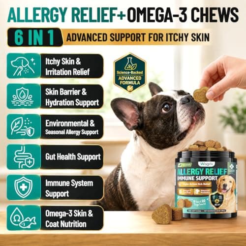Dog Allergy Chews Omega 3 is Human, Itch Relief for Dogs Multivitamin Itch Skin, Paw Licking, Yeast Ear, Seasonal Allergies, Immune Gut Support with Colostrum Probiotics– 90ct Chicken Flavor