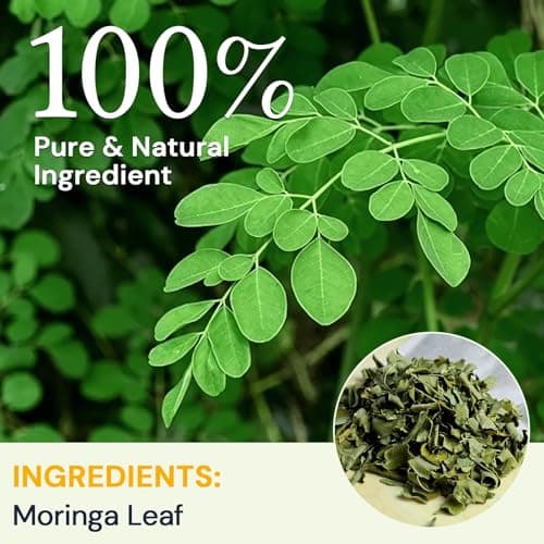 Moringa Leaf Tea - Caffeine Free, 50 Tea Bags