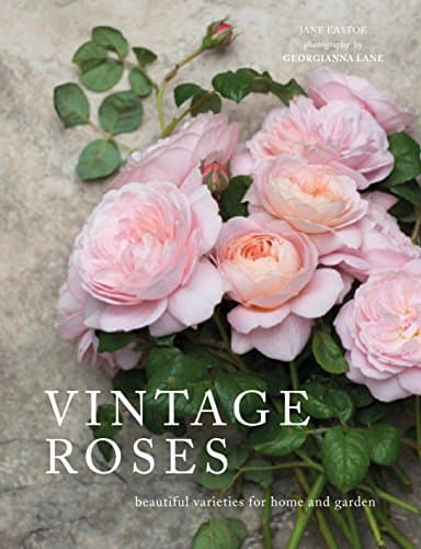 Vintage Roses: Beautiful Varieties for Home and Garden (Flowers)