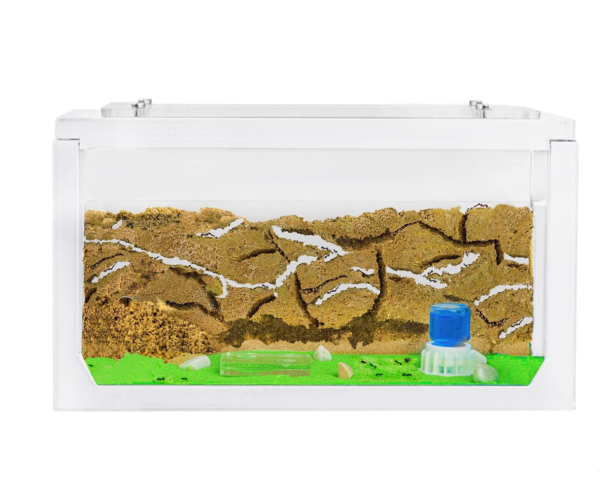 AntHouse - Natural Sand Ant Farm | 3D White Starter Kit 20x10x10 cm